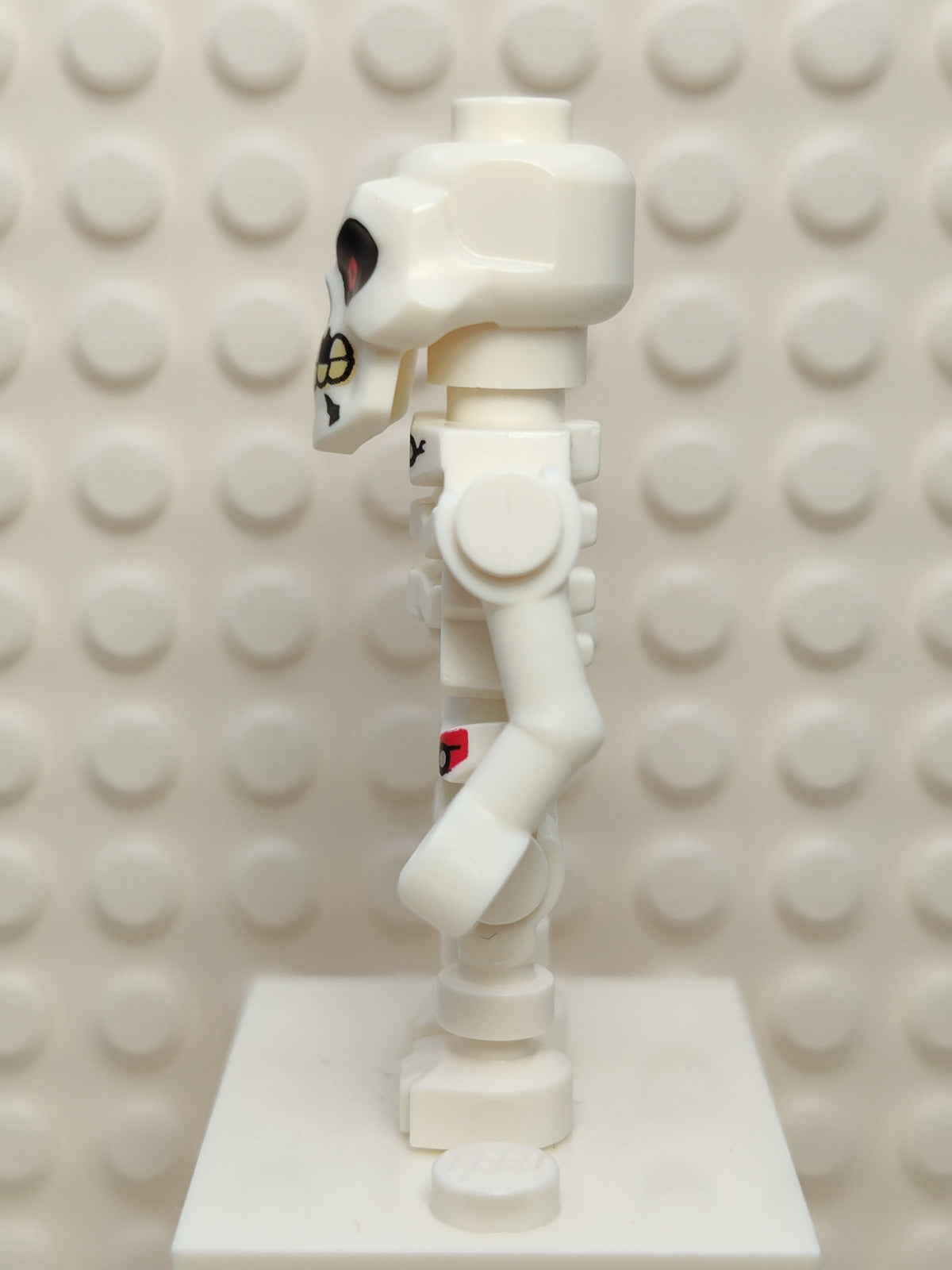 Skulkin, njo0624