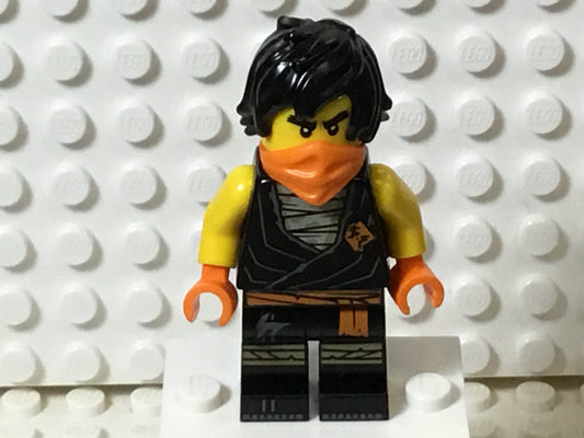 Cole, njo0645 - LEGO® Ninjago Minifigure