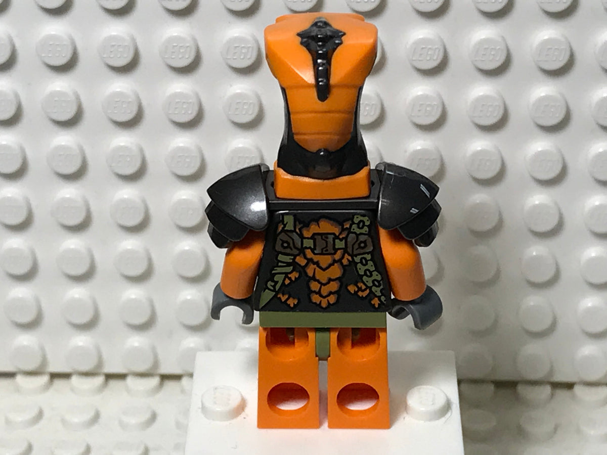 Boa Destructor, njo0752